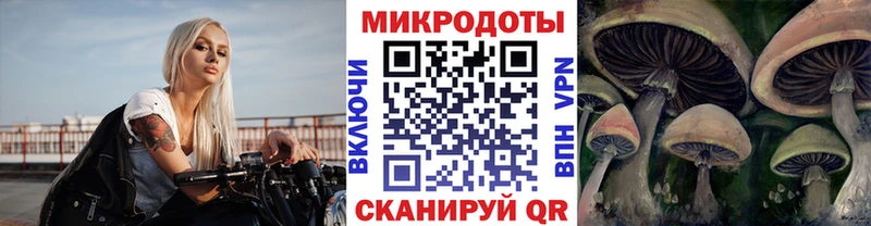Псилоцибиновые грибы MAGIC MUSHROOMS Торжок