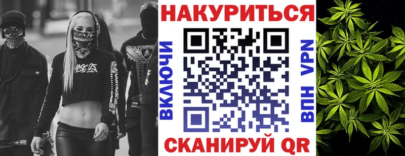 Конопля гибрид  Торжок 
